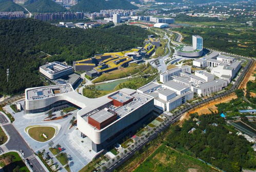 浙江四大强县 建筑之乡的崛起之路